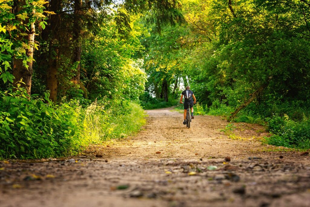 CYCLING TOUR ARUSHA NATIONAL PARK FULLDAY TRIP